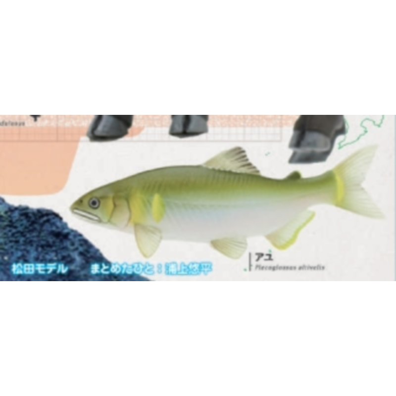 日本 イキモン ガシャポン カプセルトイ 日本の自然 第三弾 - Capsule Toy Gashapon のレビューと価格
